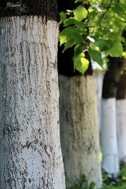 Фотовиставка Тетяни Должко